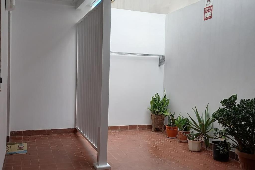 Amplio Apartamento Con Vistas Privilegiadas Garachico  Eksteriør bilde